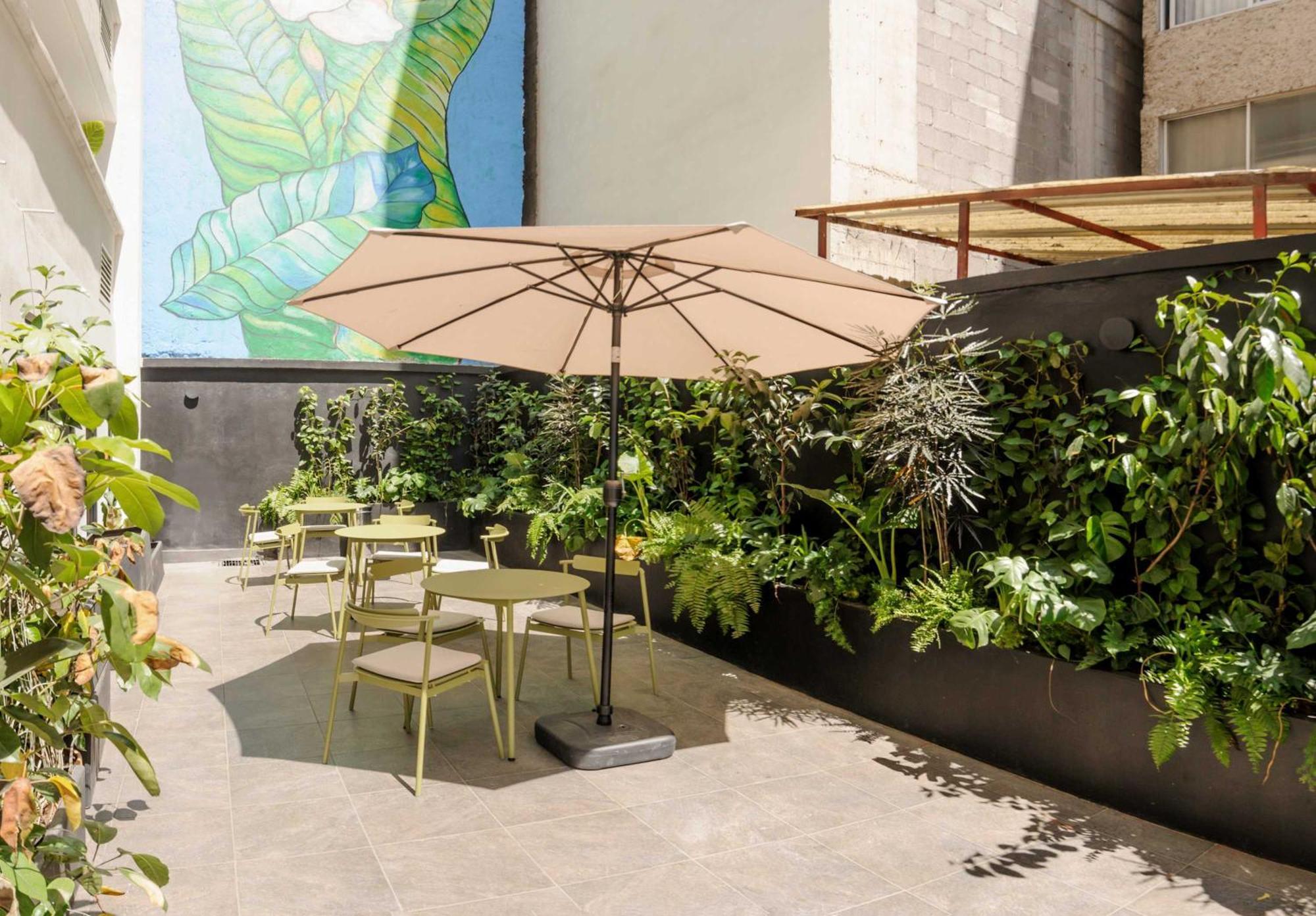 Apartmán Colima 340 By Wynwood House Ciudad de México Exteriér fotografie